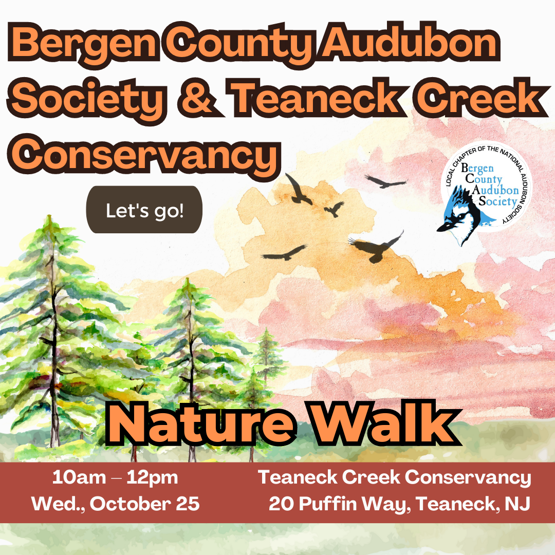 BCAS Nature Walk