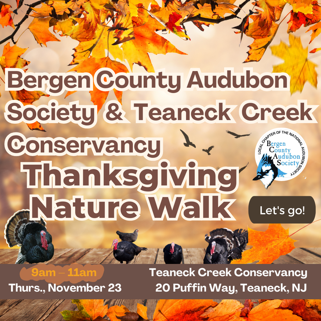 BCAS Thanksgiving Walk