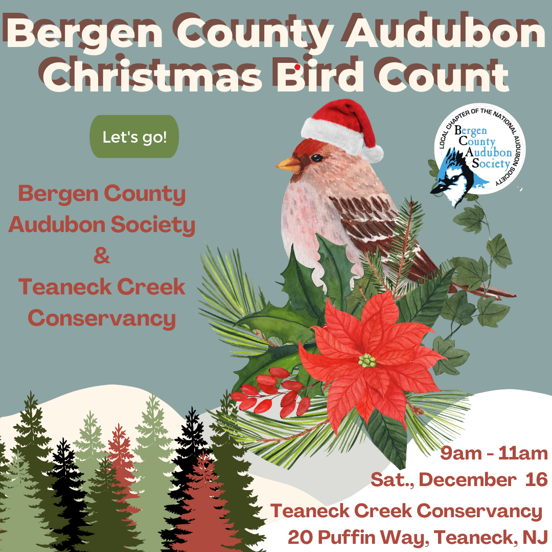 BCAS Christmas Bird Count