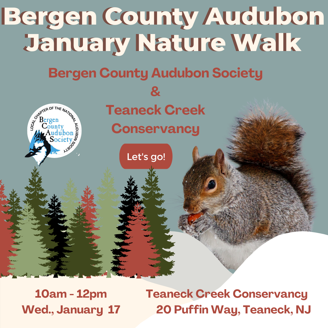 BCAS January Nature Walk