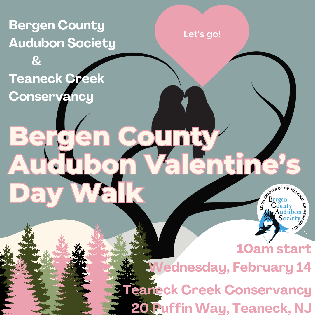 Nature Lover's Walk with Bergen County Audubon