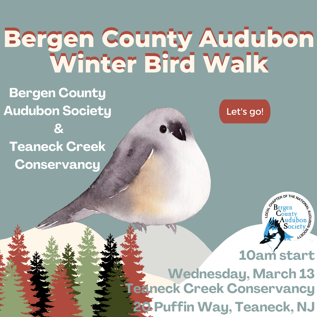 *Final* Winter Bird Walk  with Bergen County Audubon
