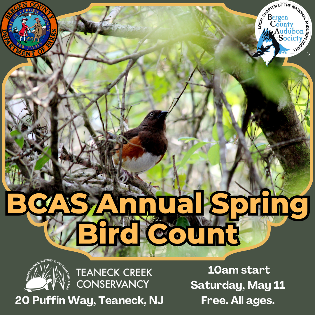 BCAS Annual Spring Bird Count
