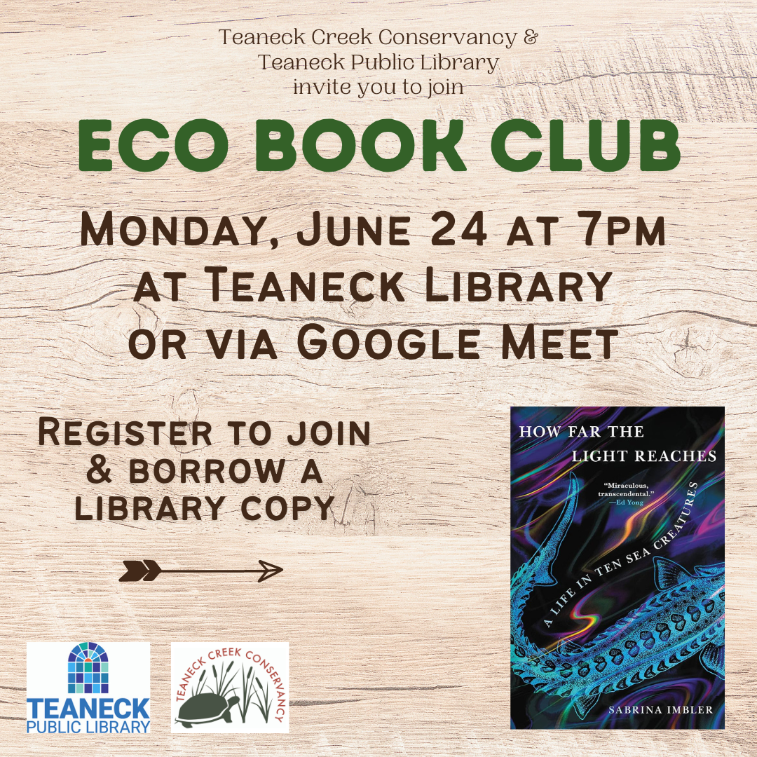 Eco Book Club: How Far the Light Reaches by Sabrina Imbler