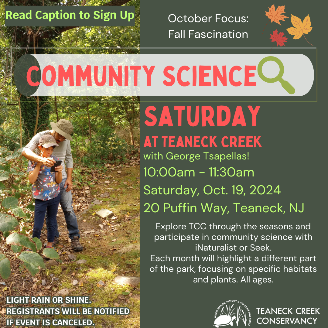Community Science Saturday: Fall Fascination