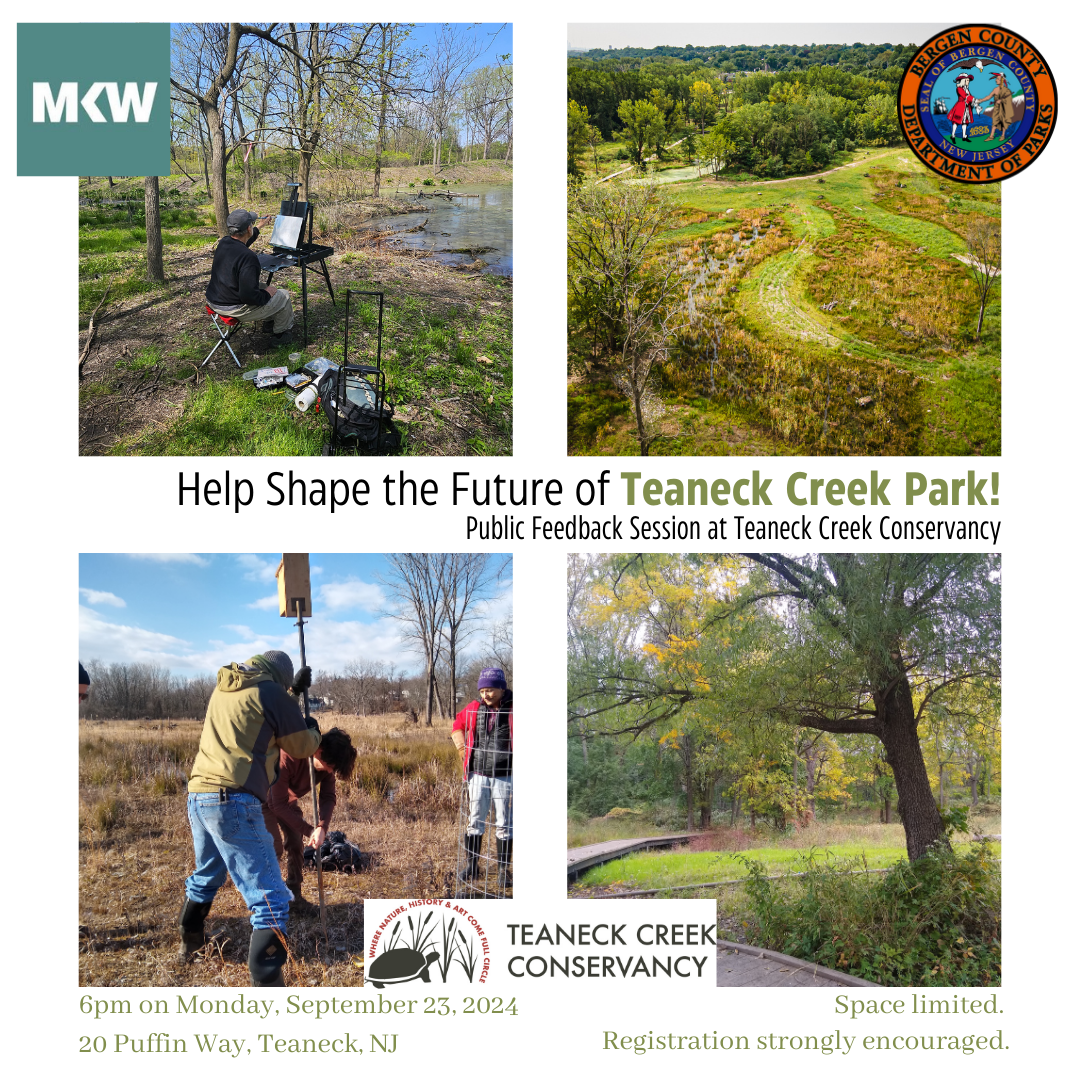 Help Shape the Future of Teaneck Creek Park!