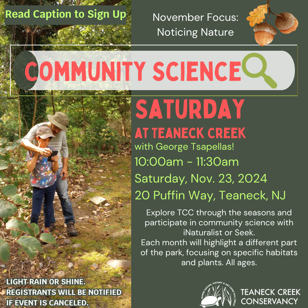 Community Science Saturday: Noticing Nature
