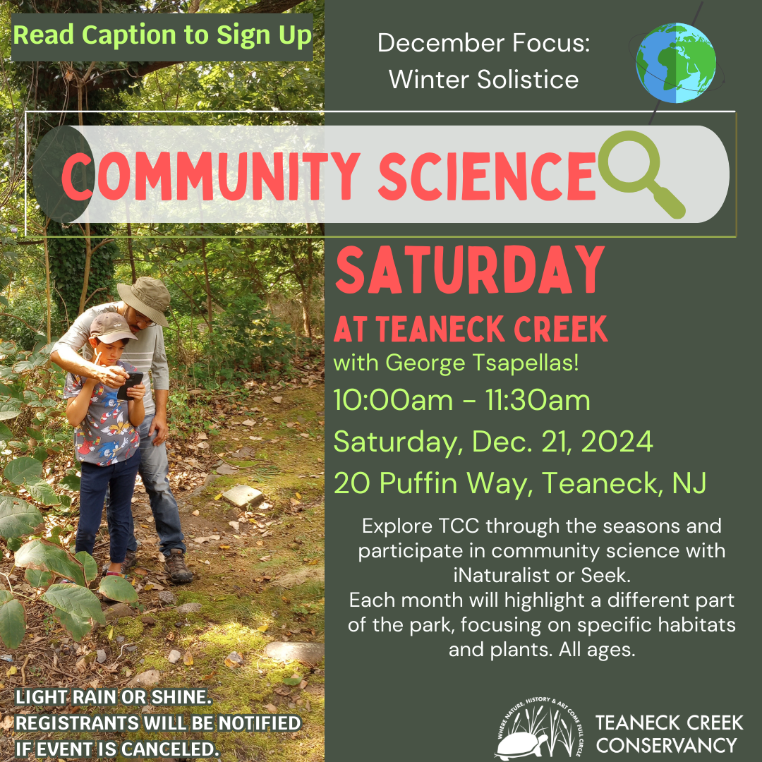Community Science Saturday: Winter Solstice