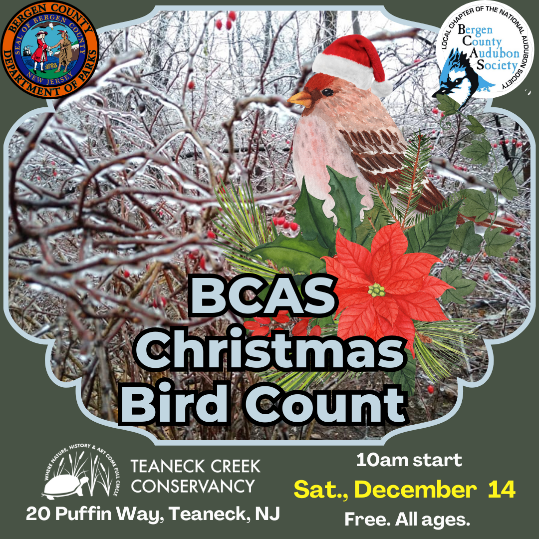 BCAS Christmas Bird Count