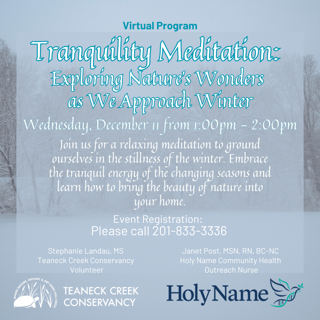Virtual Event - Tranquility Meditation: Exploring Nature's Wonders as We Approach Winter