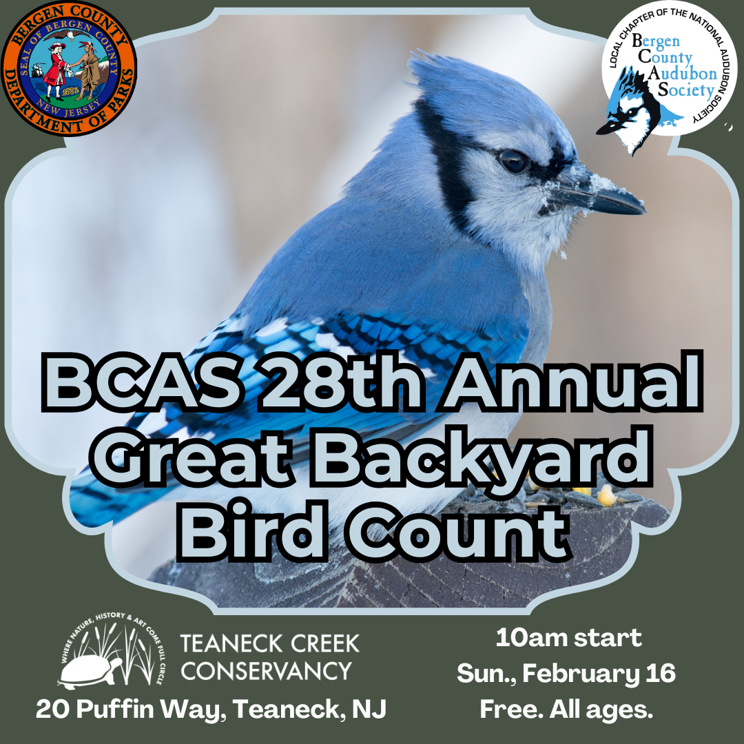BCAS 28th Annual Great Backyard Bird Count