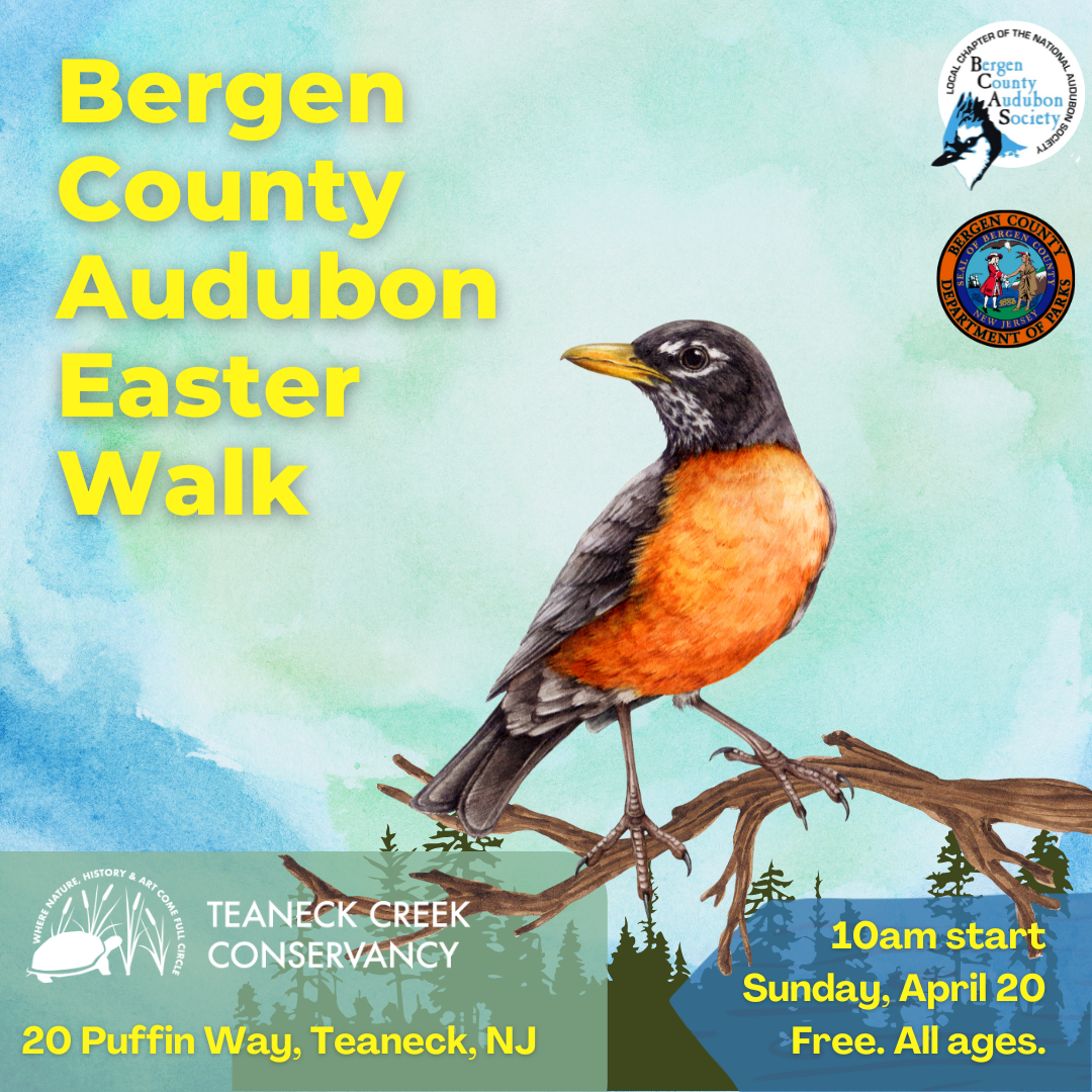 BCAS Easter Sunday Walk