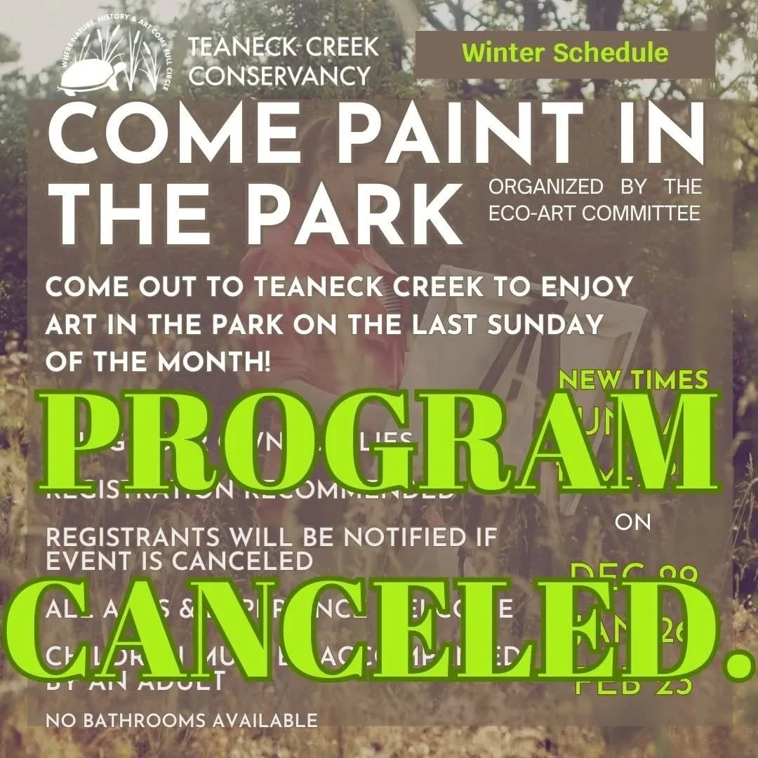 Come Paint in the Park CANCELED