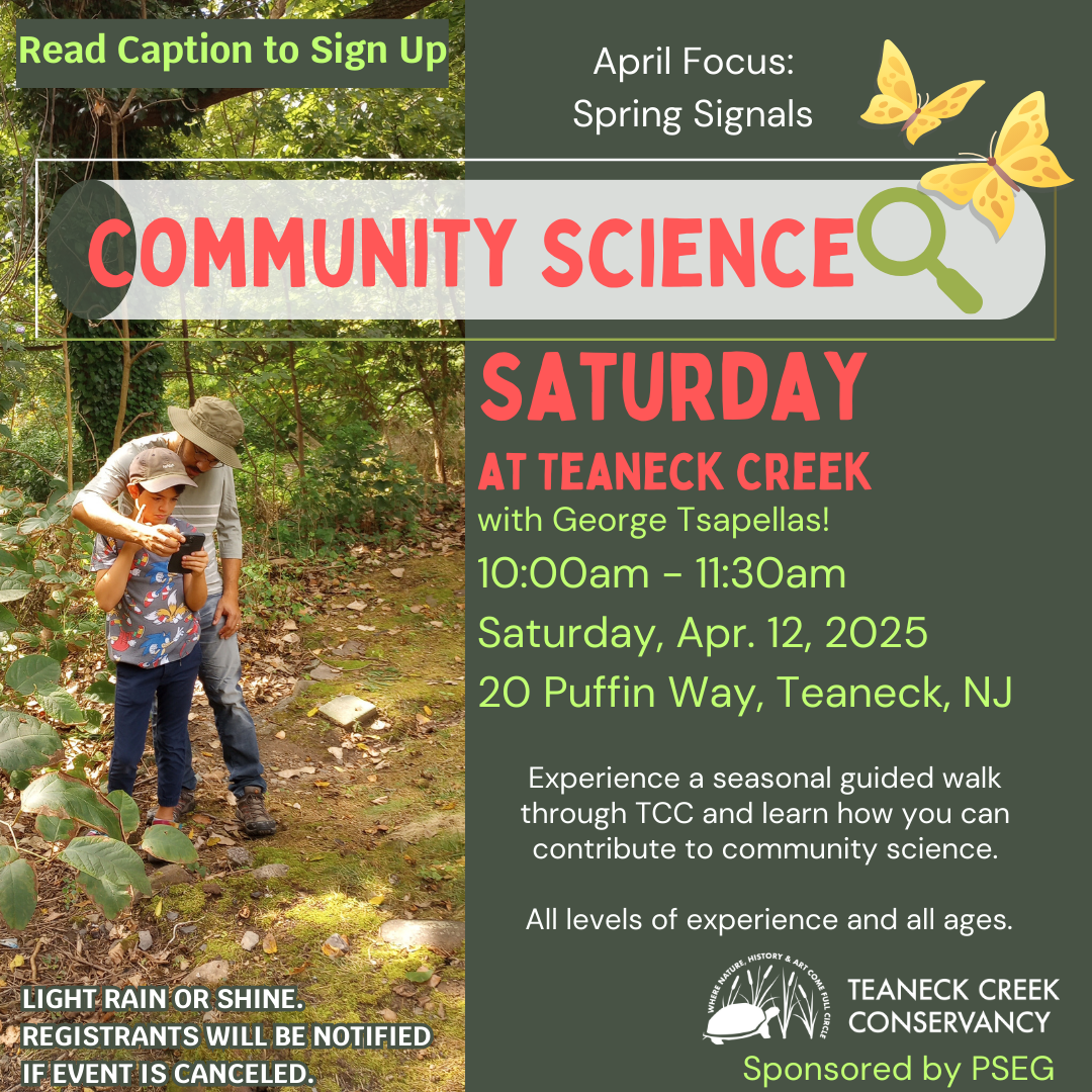 Community Science Saturday: Spring Signals