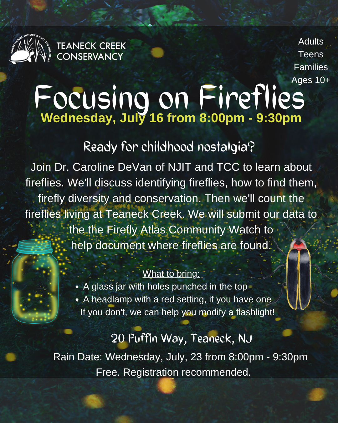 Focusing on Fireflies