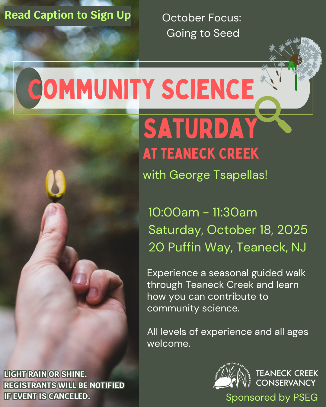 Community Science Saturday: Going to Seed