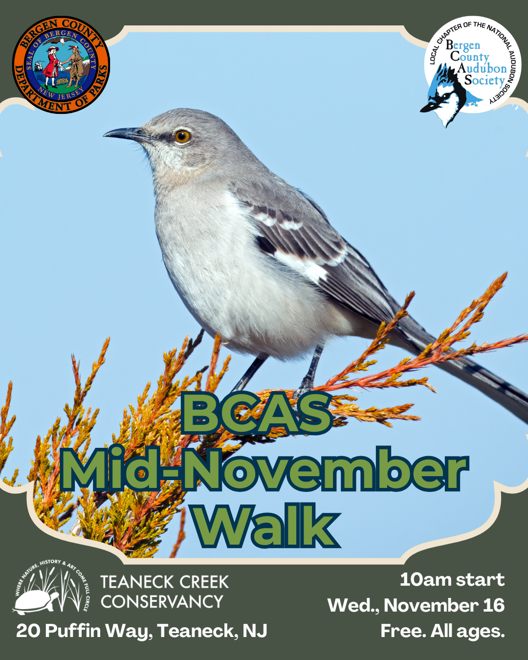 BCAS Mid-November Walk