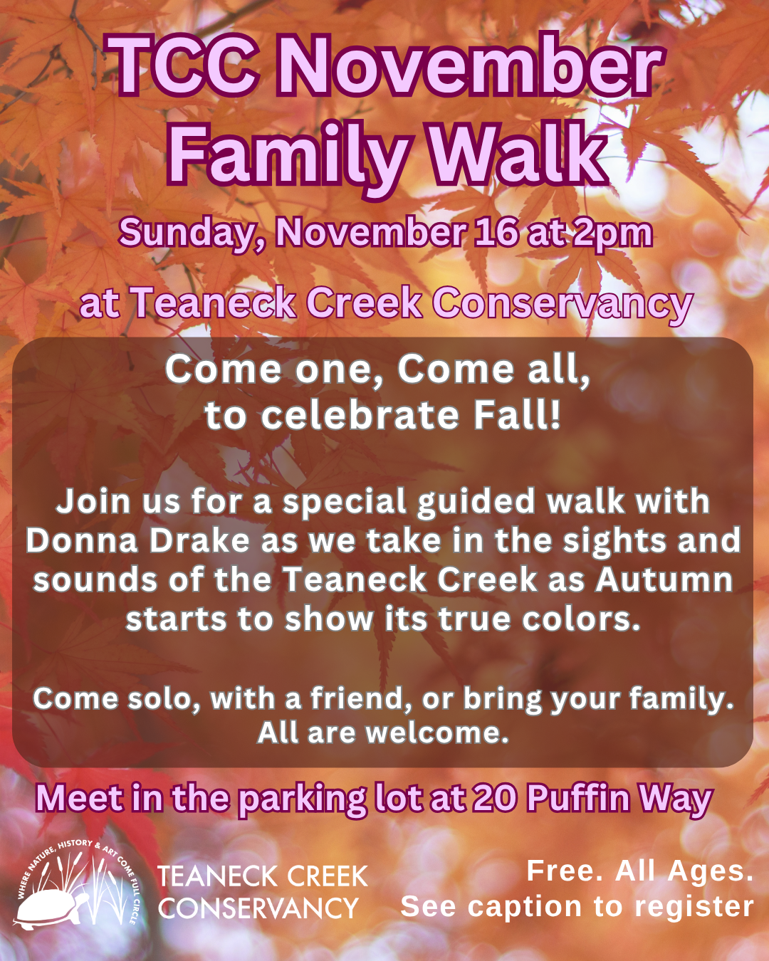 TCC November Family Walk