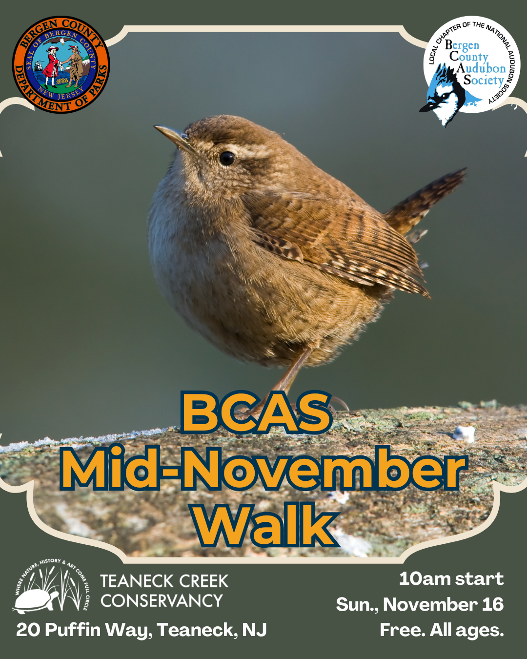BCAS Mid-November Walk