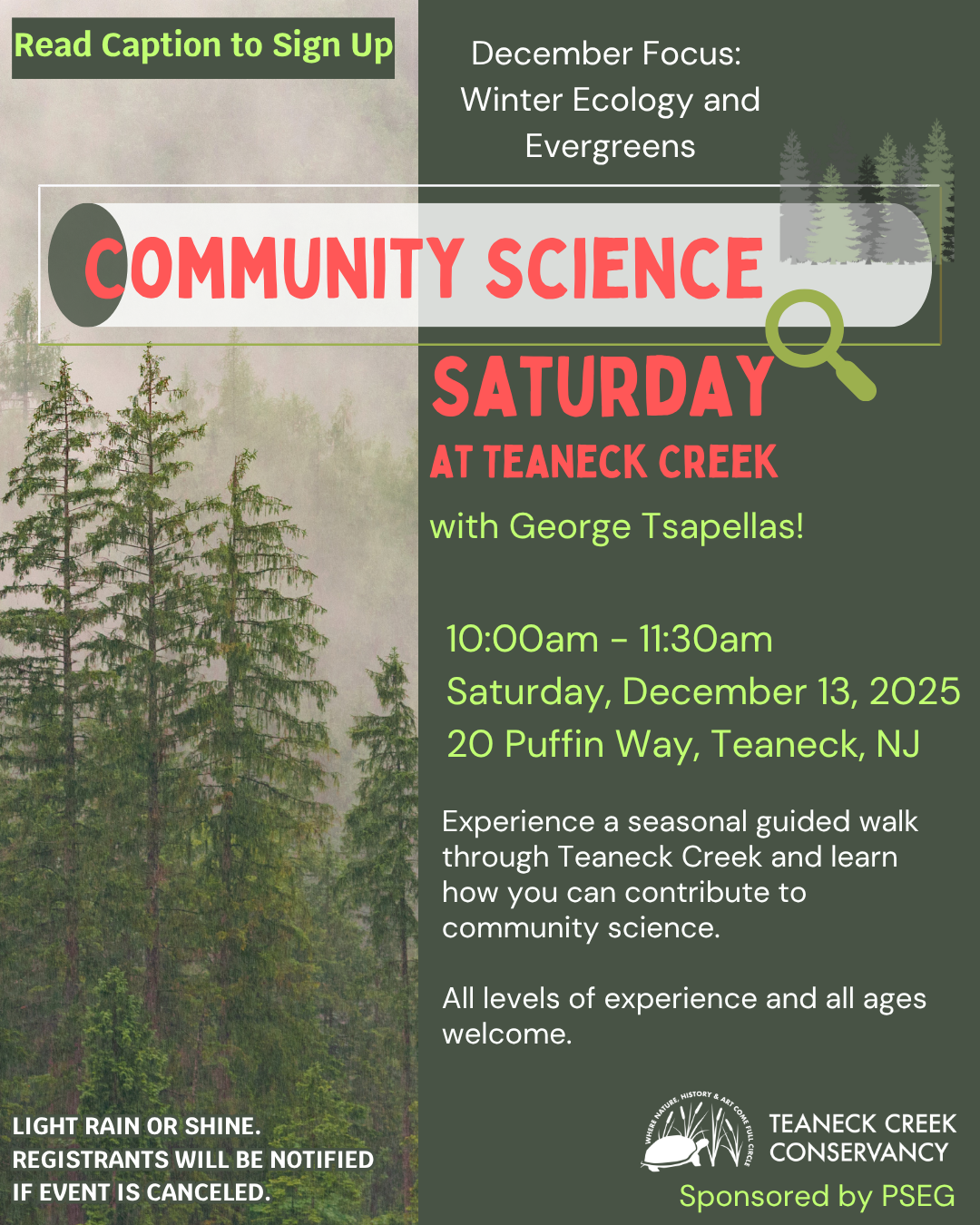 Community Science Saturday: Winter Ecology and Evergreens