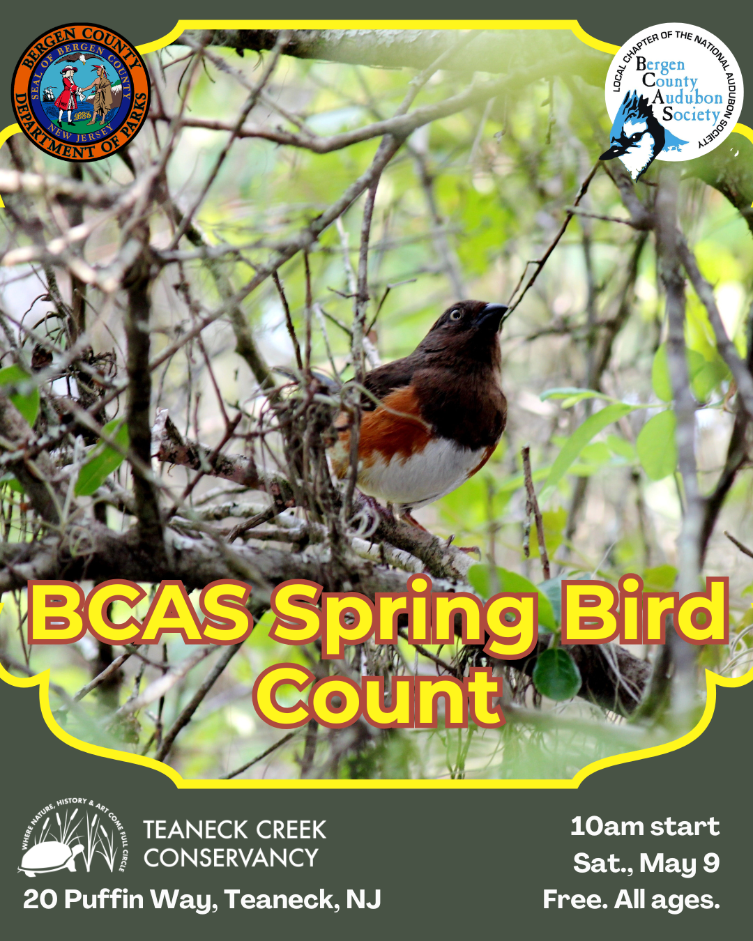 BCAS Spring Bird Count