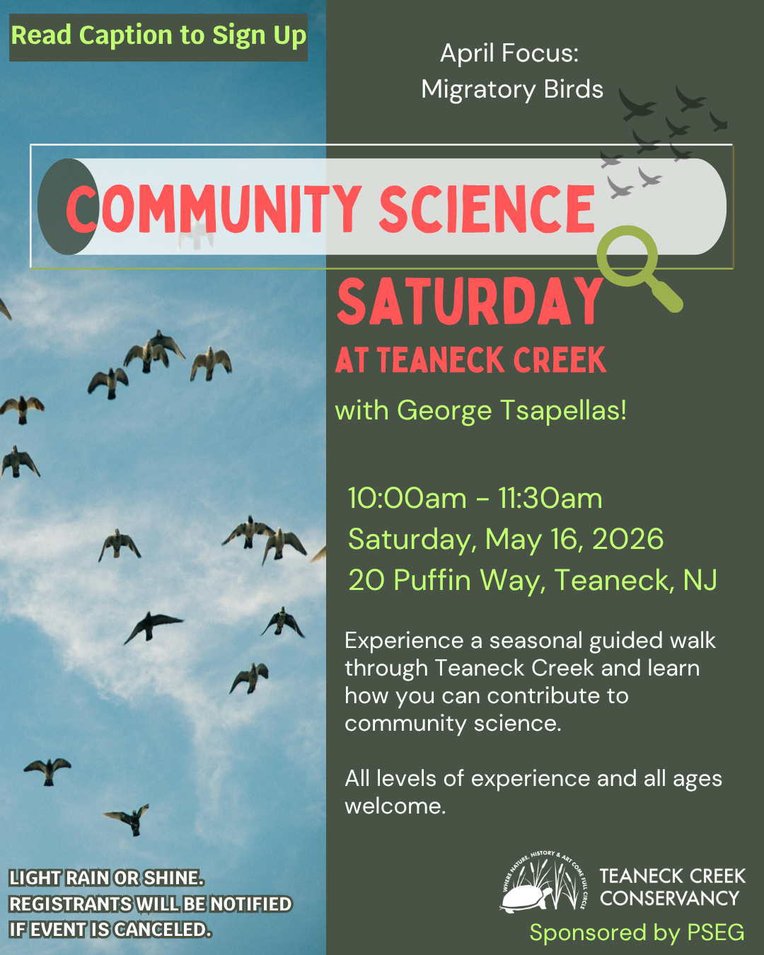 Community Science Saturday: Migratory Birds