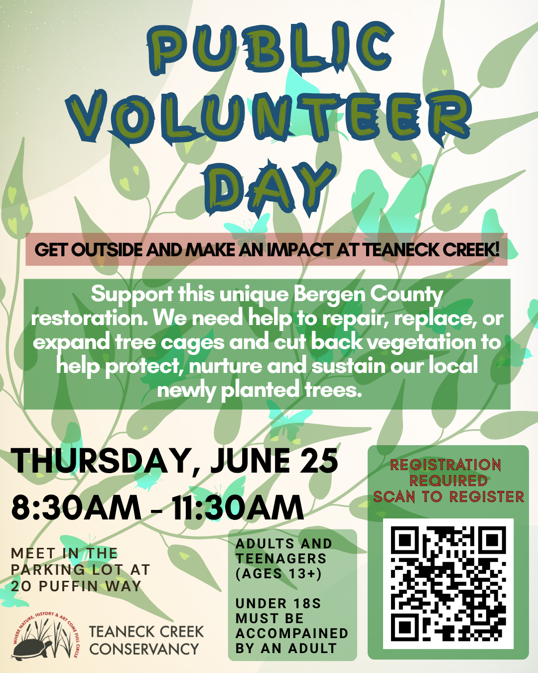 Public Volunteer Day