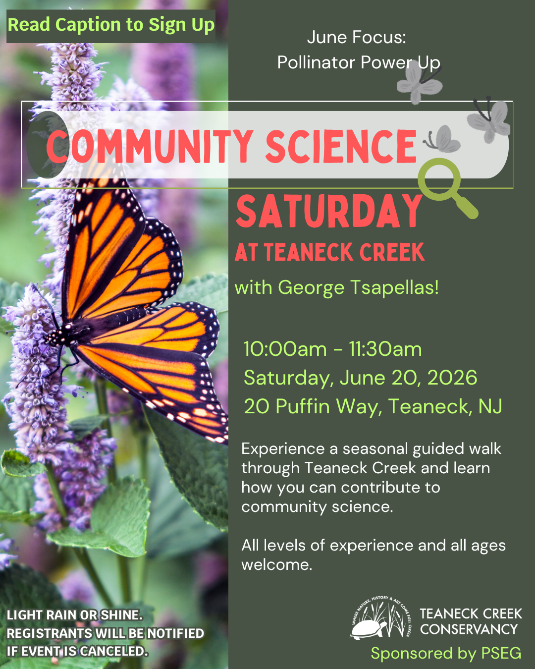 Community Science Saturday: Pollinator Power Up
