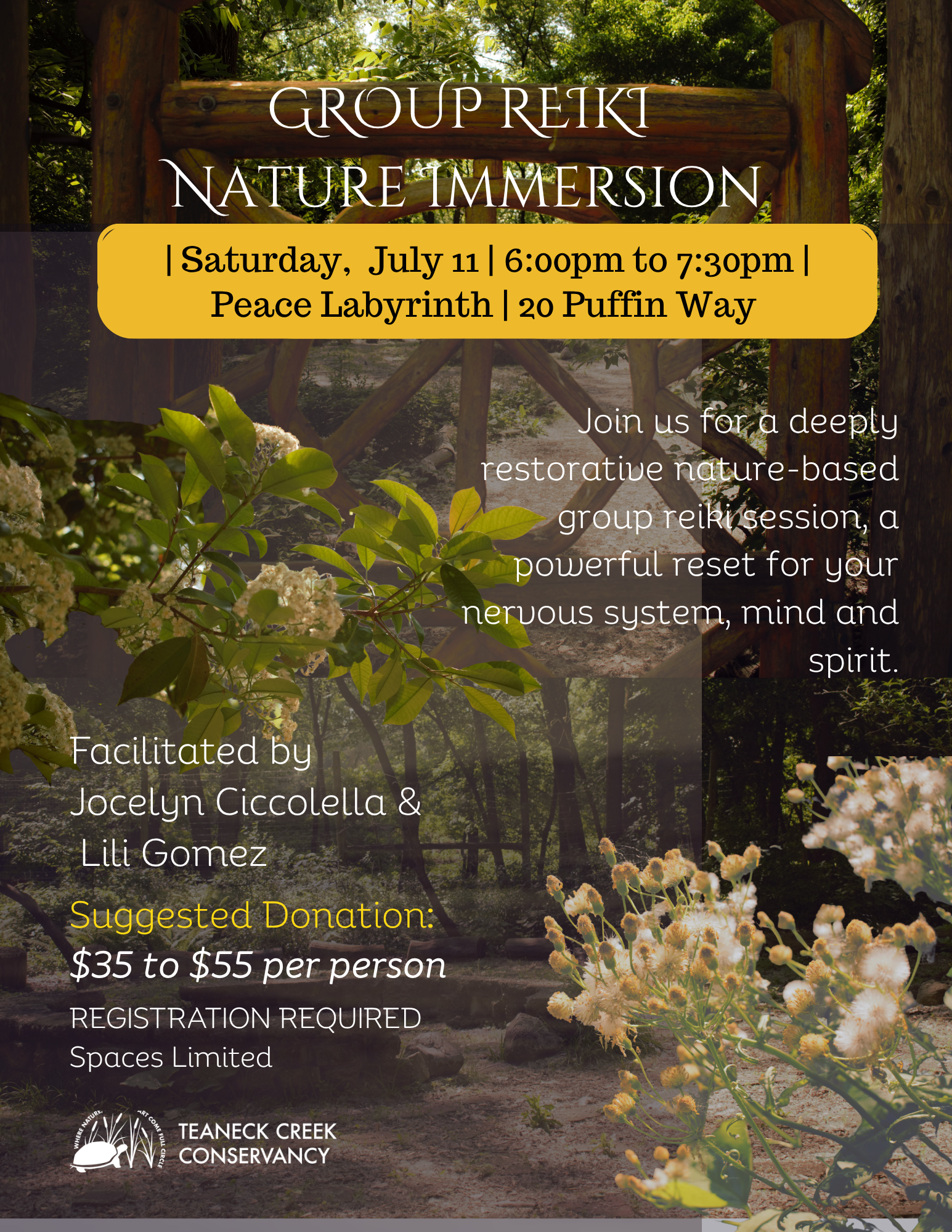 Group Reiki and Nature Immersion