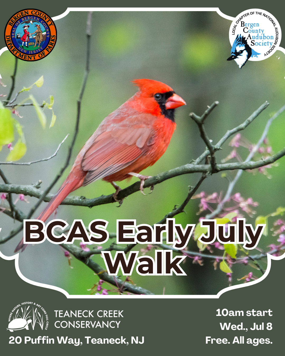 BCAS Early July Walk