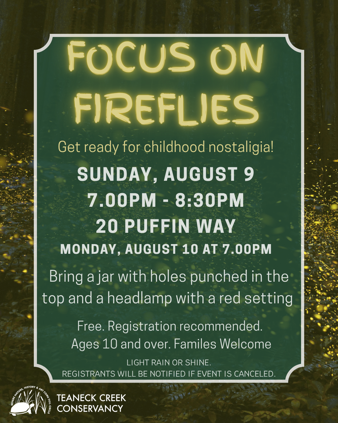 Focus on Fireflies