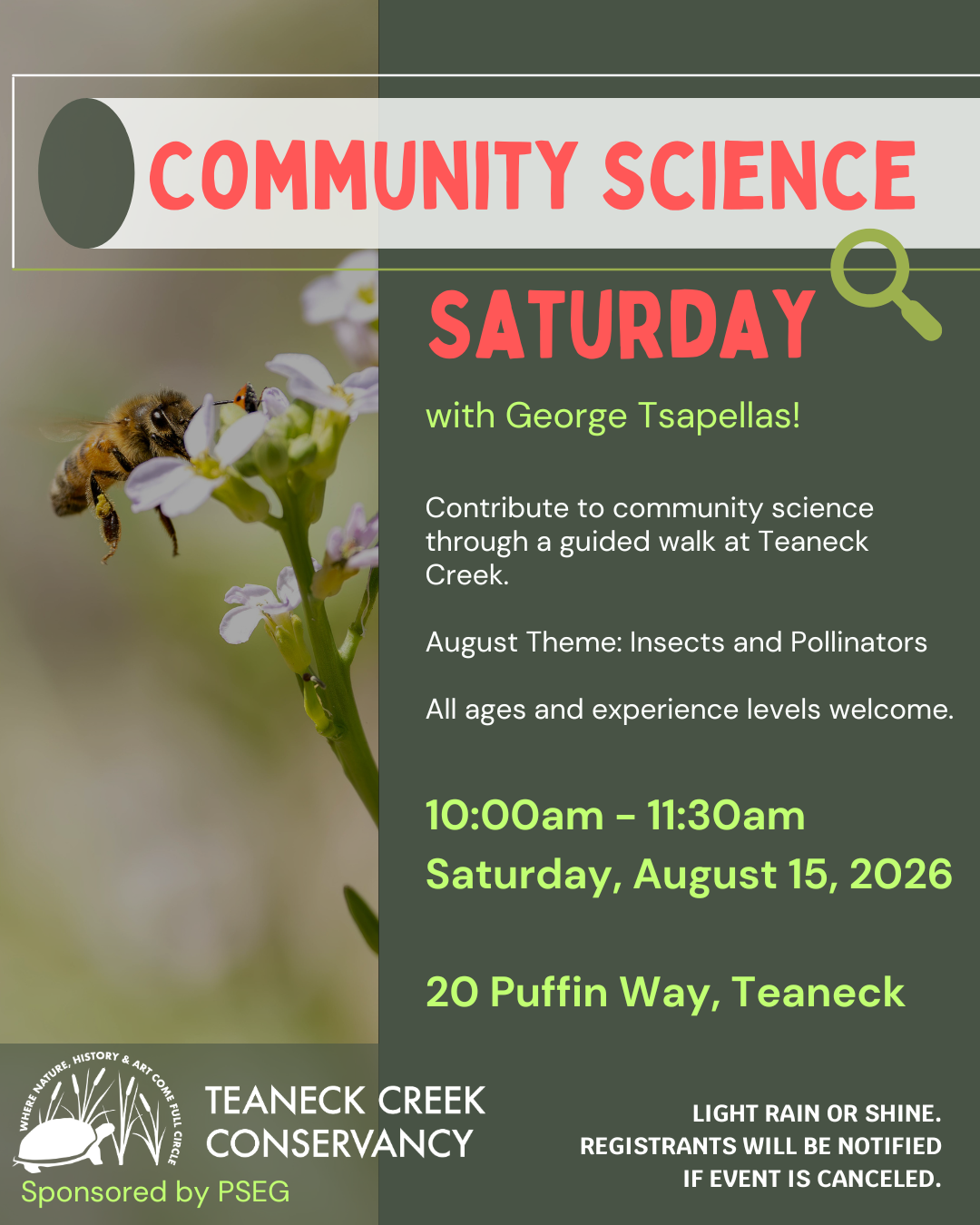 Community Science Saturday: Insects and Pollinators