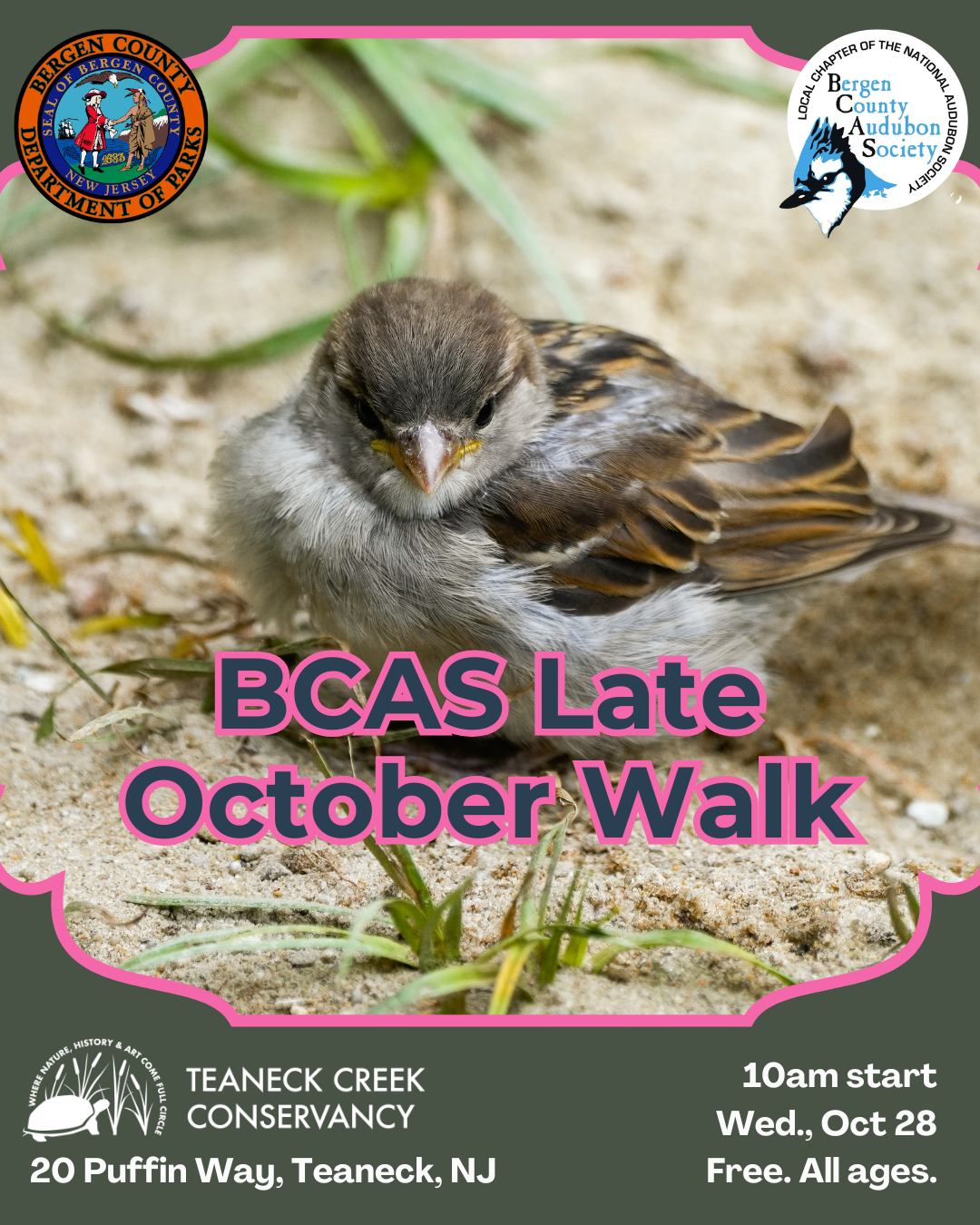 BCAS Late October Walk
