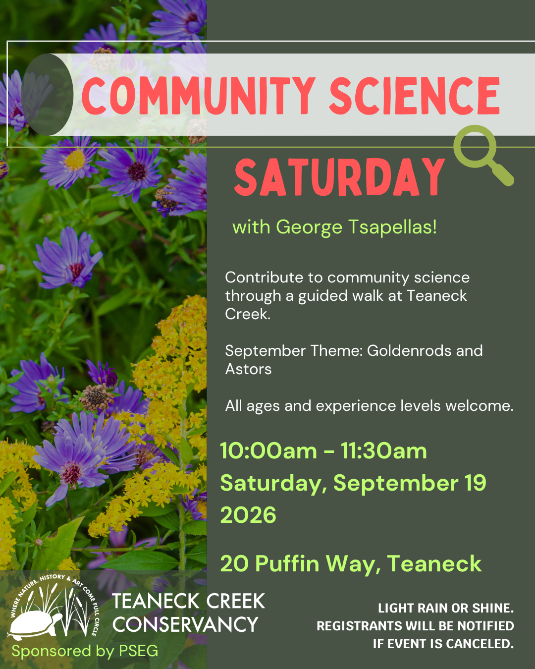 Community Science Saturday: Goldenrods and Asters