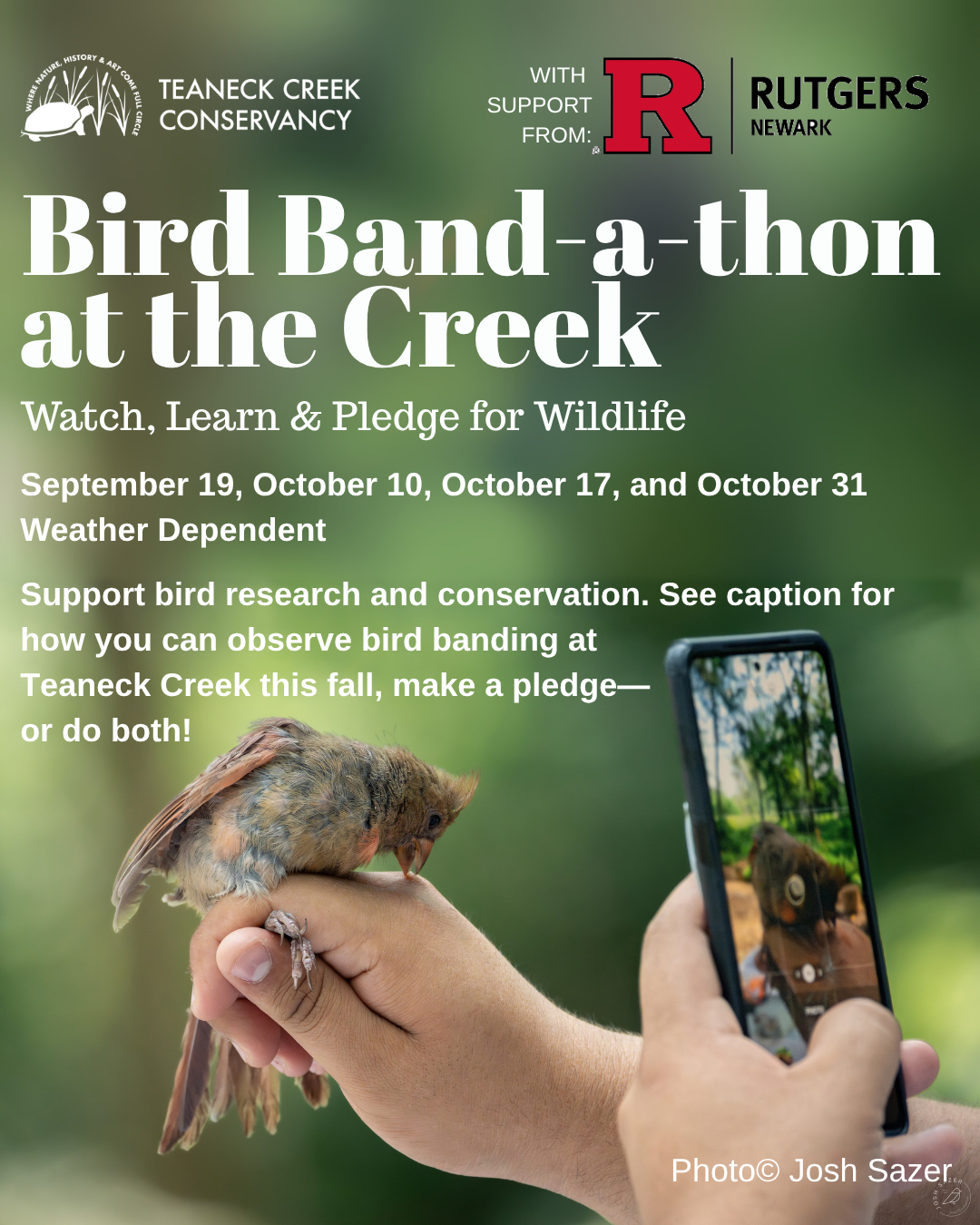 Bird Band-a-thon at the Creek: Session 1 of 4 [weather dependent]