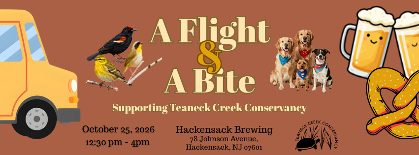 A Flight & A Bite & A Fall Auction