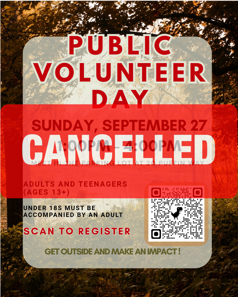 CANCELED Public Volunteer Day: Fall Clean Up
