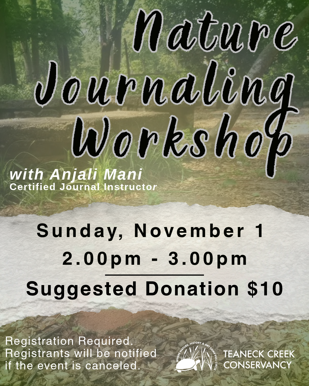 Nature Journaling Workshop