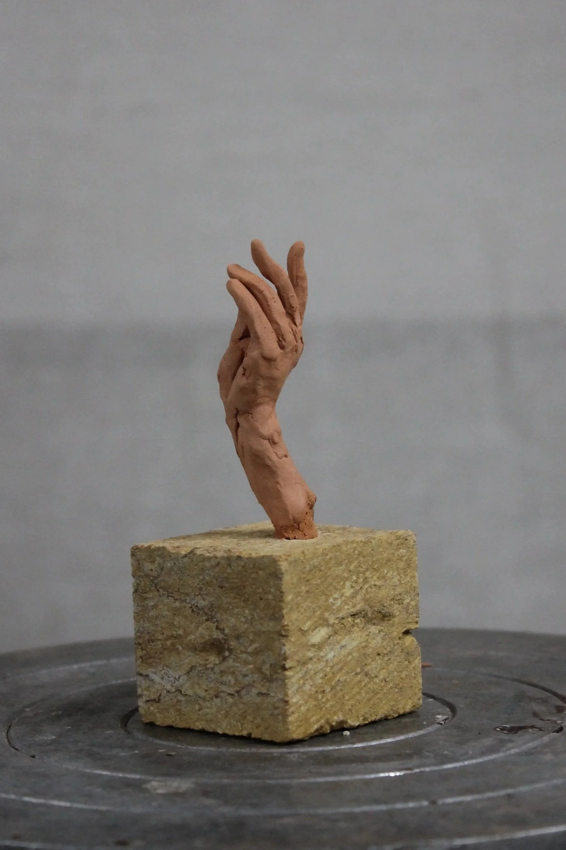 3DCE5B23-C318-4C79-BD71-D64E44C678F3.jpg