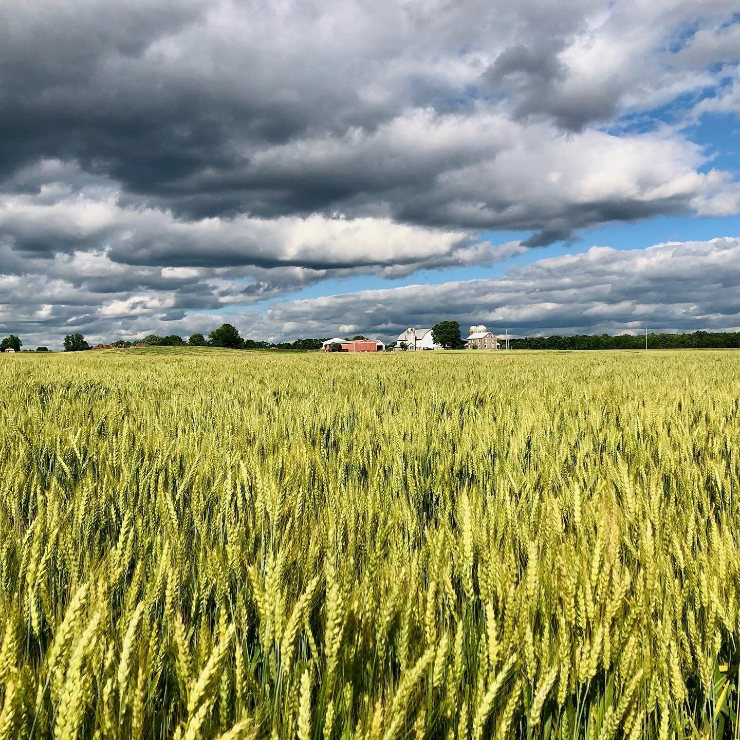 A few pictures from a trip I took to Gettysburg &amp; Hamburg PA last week- a dramatic cloudy day. Beautiful country.