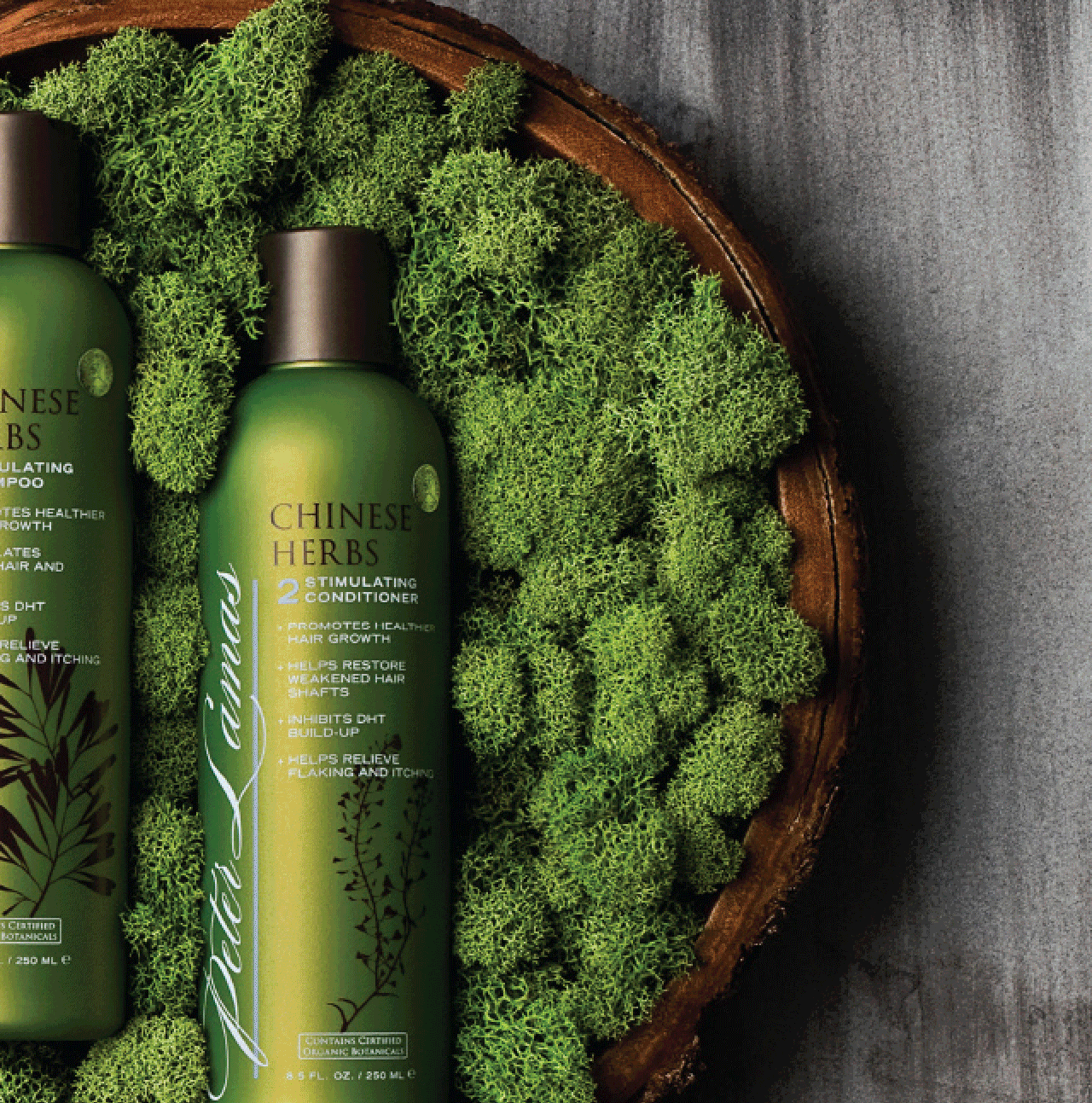 P&nbsp;E&nbsp;T&nbsp;E&nbsp;R&nbsp;&nbsp;&nbsp;L&nbsp;A&nbsp;M&nbsp;A&nbsp;S