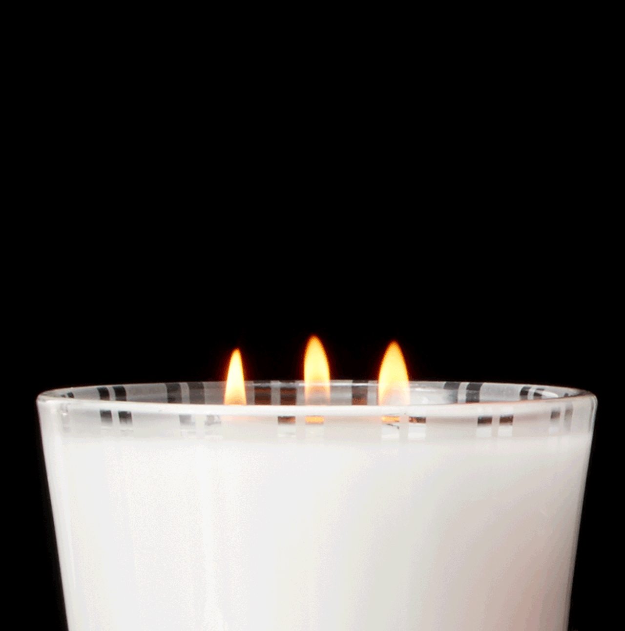 N&nbsp;E&nbsp;S&nbsp;T