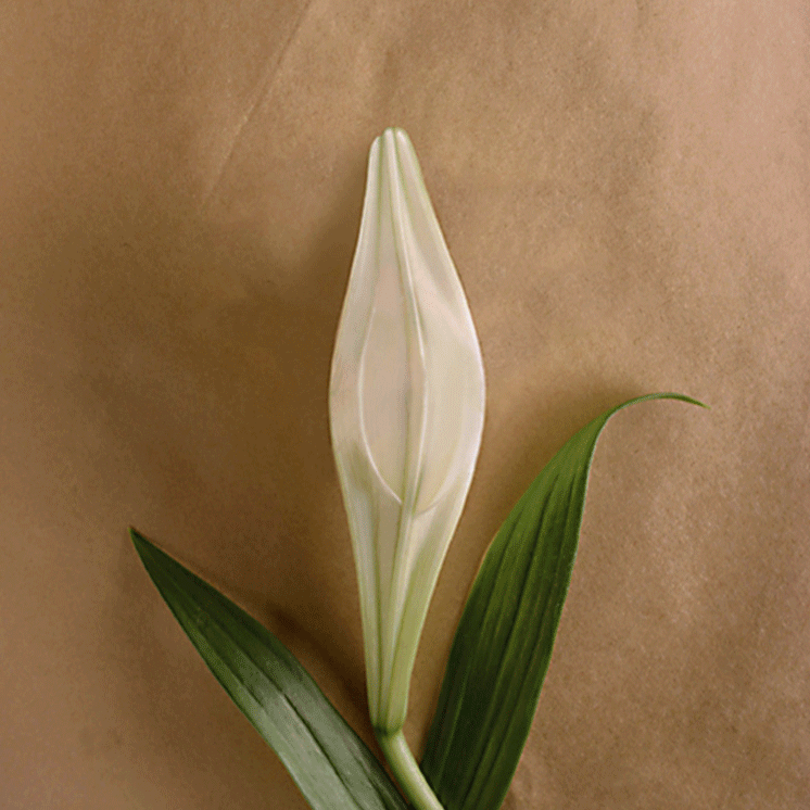 E&nbsp;A&nbsp;S&nbsp;T&nbsp;E&nbsp;R&nbsp;&nbsp; S&nbsp;E&nbsp;A&nbsp;L&nbsp;S