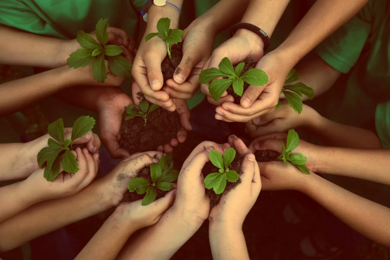 Vivências Espaço Jabuti - Sustentabilidade