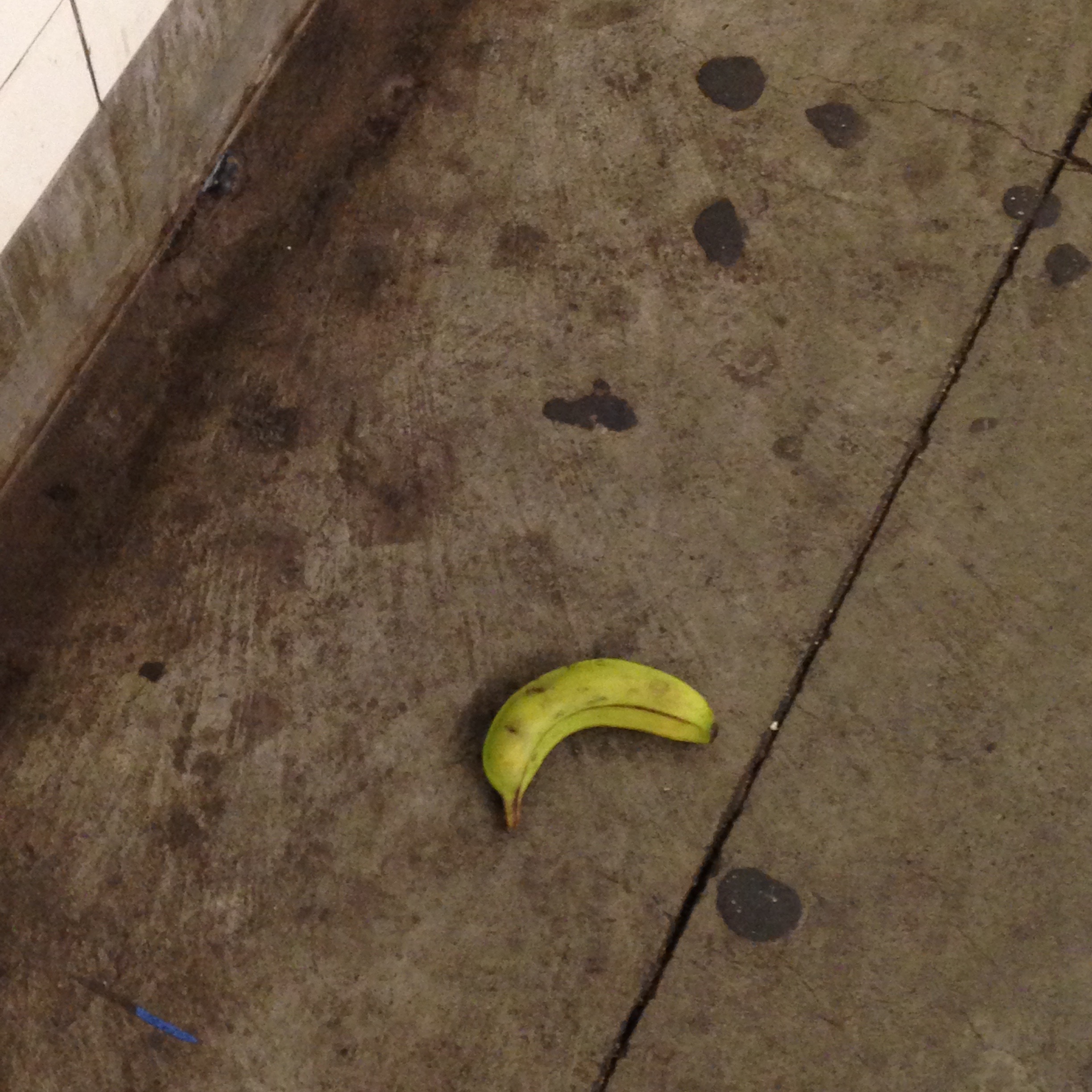 "I moved to New York about three weeks ago and so far it's been nothing like Maid in Manhattan. Or Jungle 2 Jungle."