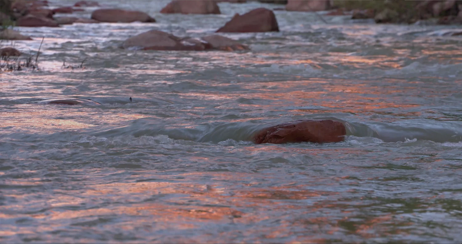 Water2.jpg