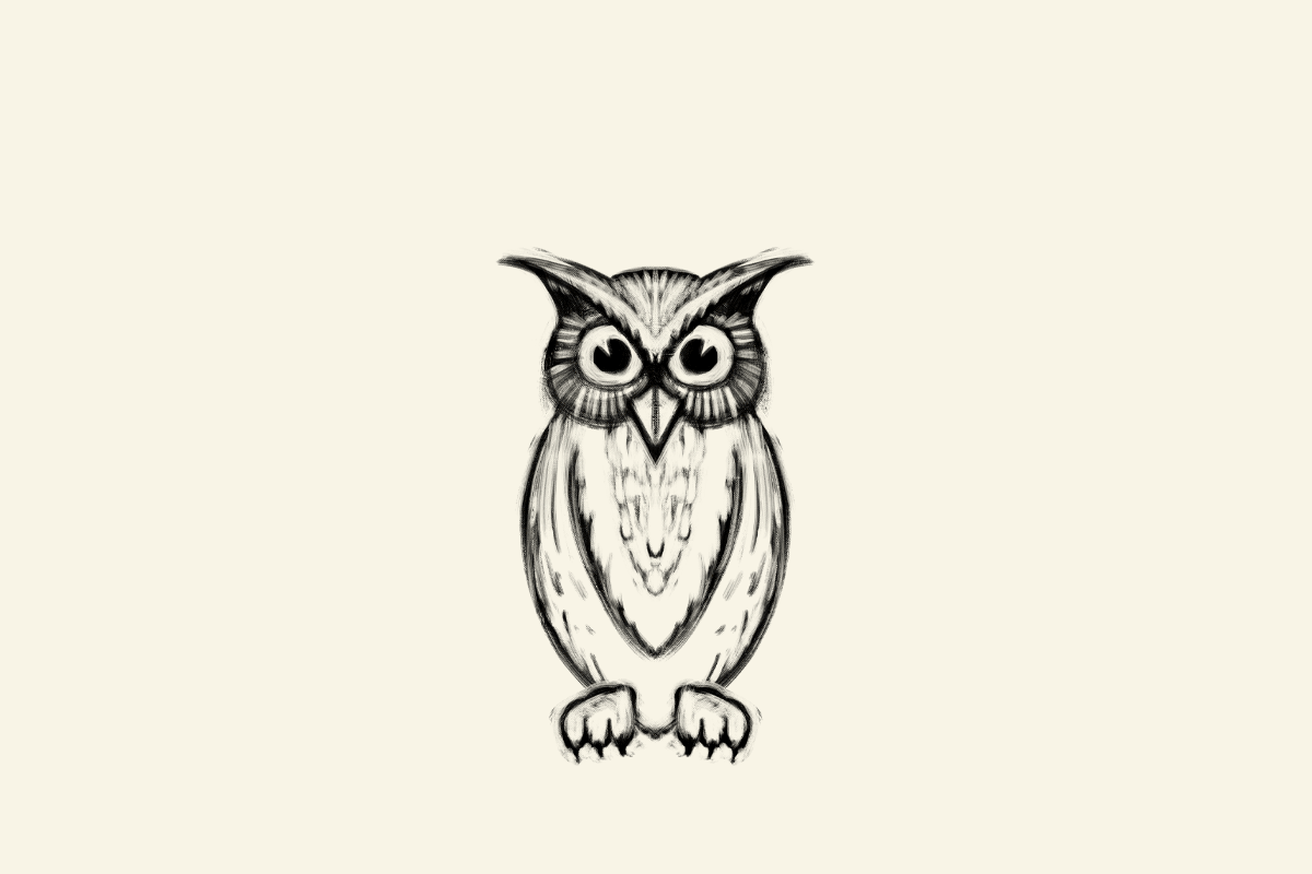 Mr-Harrigans-Phone_Owl-animation_5.gif