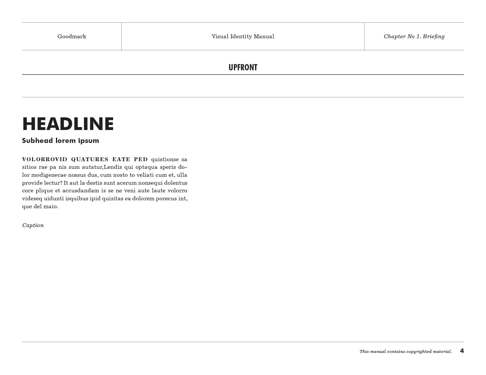 Goodmark_VisualIdentity_Guidelines-4 copy.jpg