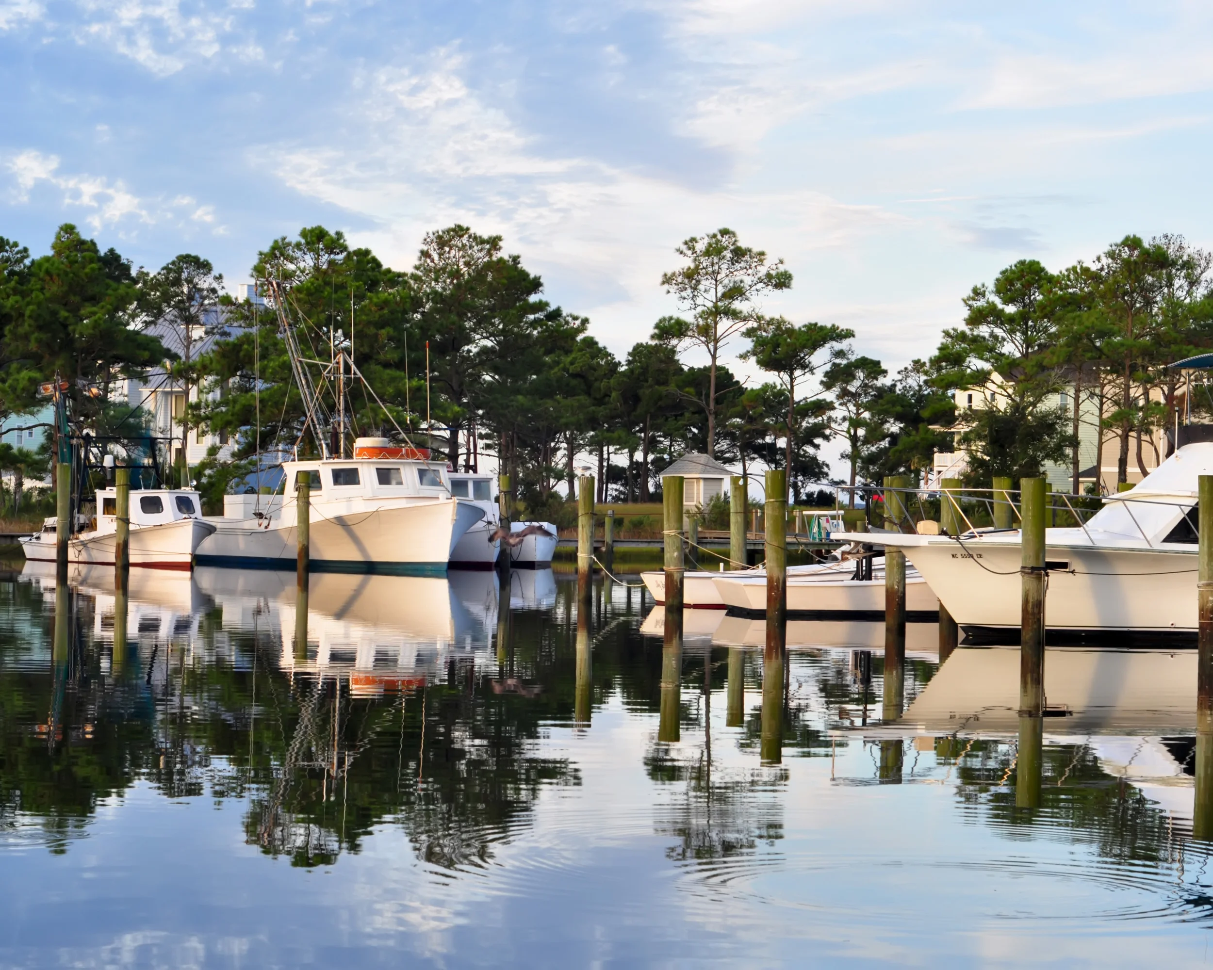 Harkers Island Refuge.jpg