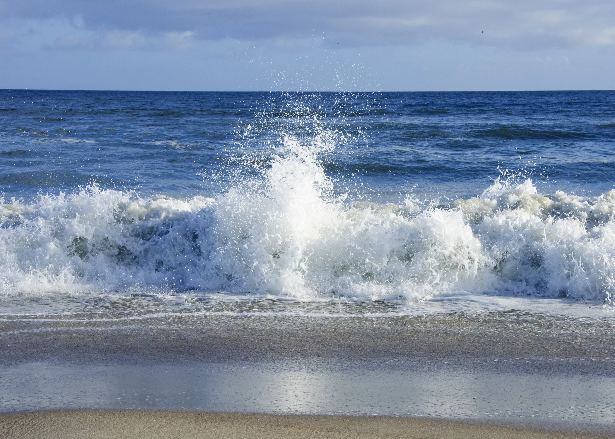 DSC_5554a.jpg